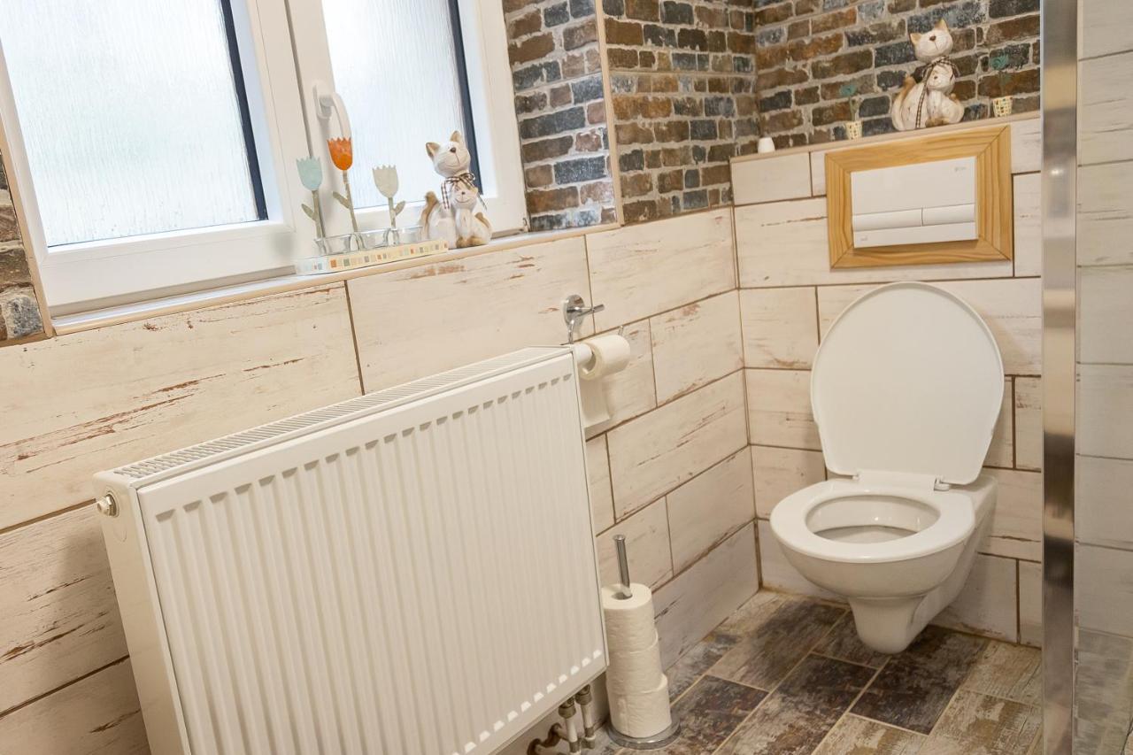 Prazdninovy Dum Valdik Villa Loket Exteriör bild